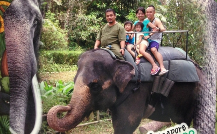 [新加坡動物園 + Jungle Breakfast with Wildlife, Day 2] 『仨V2 Legoland + 新加坡親子遊』