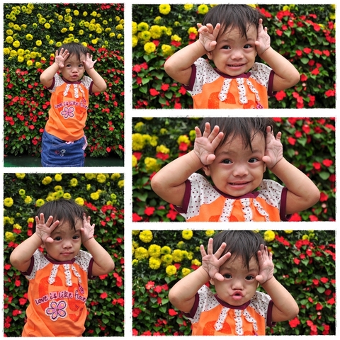 Picture