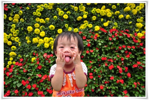 Picture