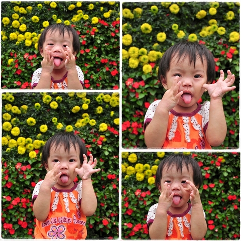 Picture