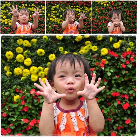 Picture