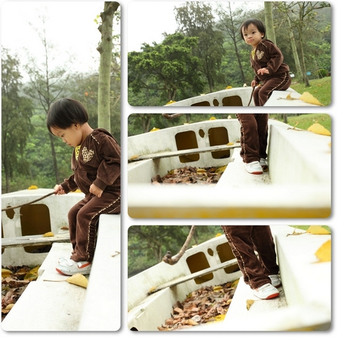 Picture
