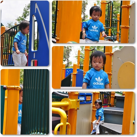 Picture