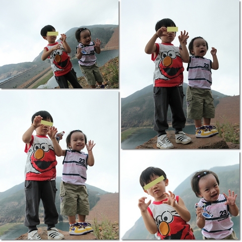 Picture