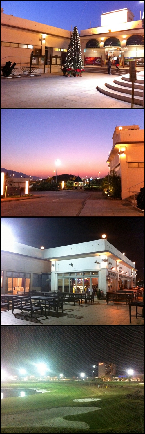Picture