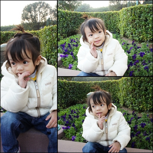 Picture