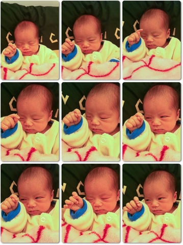 Picture