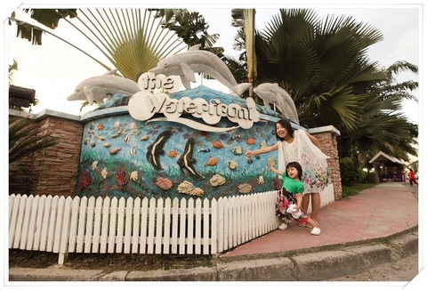 Picture