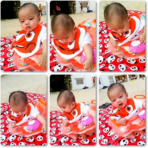Picture