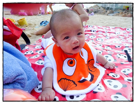 Picture
