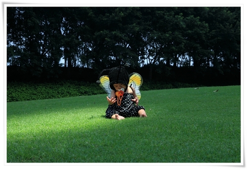Picture