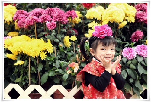 Picture