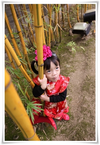 Picture