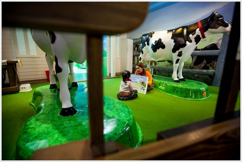 Picture