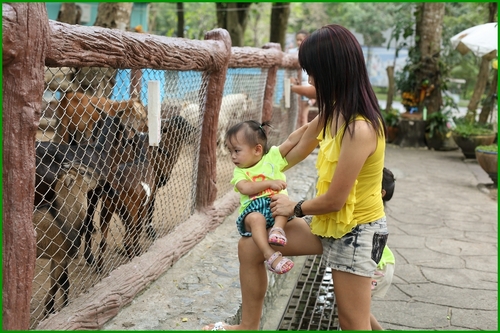 Picture