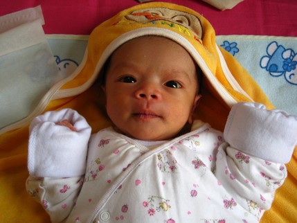 Picture