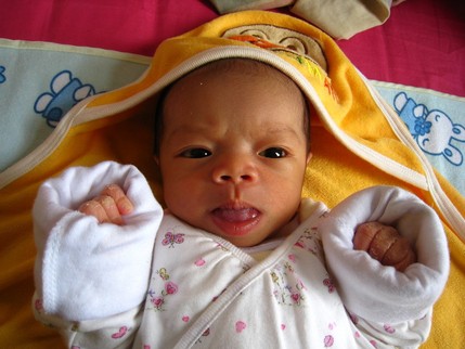 Picture
