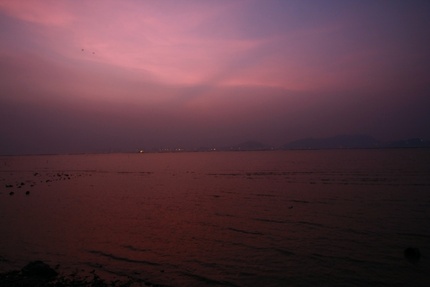 Picture
