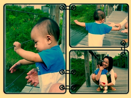 Picture