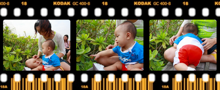Picture