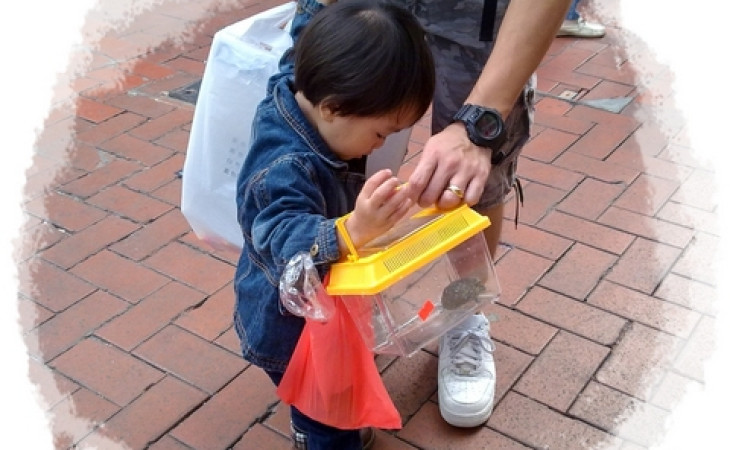 靖天的「真」寵物 II  *** Home Playgroup ***